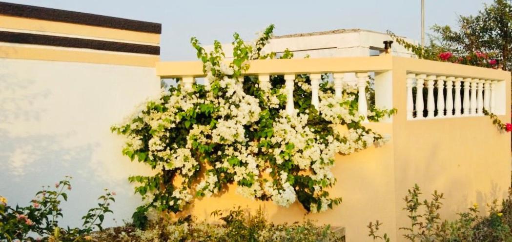 Royal Meadows - Igatpuri Bungalow C Eksteriør bilde